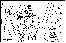 V1203006